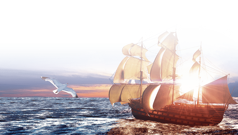 1557712206090006695.png